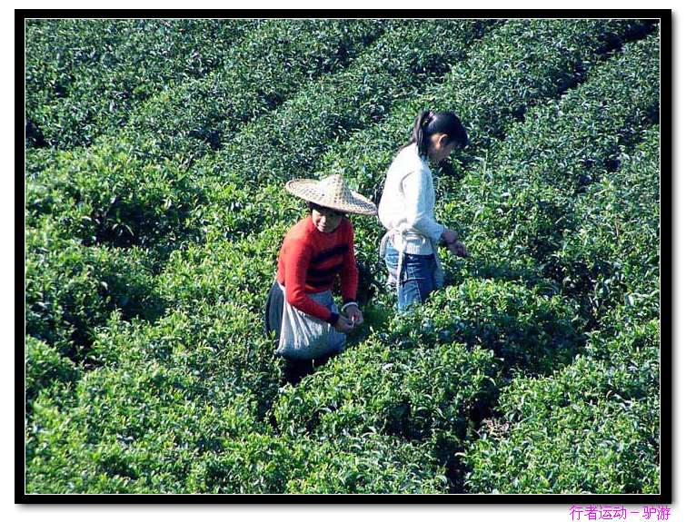 牛头山发电站至坝下溯溪