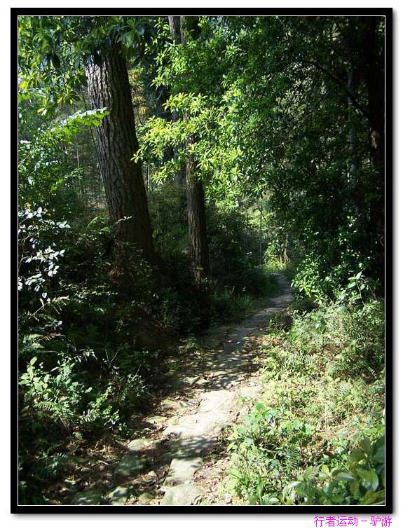 牛头山发电站至坝下溯溪