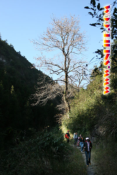 闽浙大穿越·岭北风情