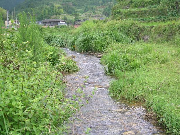 草塘流水.JPG